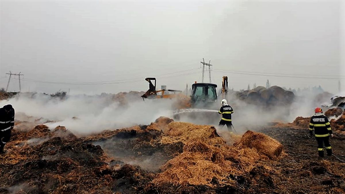 FOTO Intervenție la incendiu de plante furajere în localitatea Horia, comuna Axintele, județul Ialomița