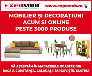 Banner Expomob