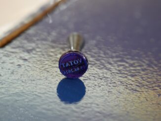 Alegeri în județul Ialomița. FOTO Adrian BOIOGLU / ILnews.ro