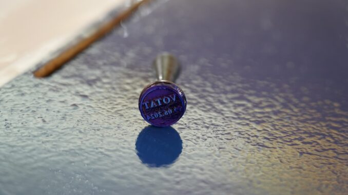 Alegeri în județul Ialomița. FOTO Adrian BOIOGLU / ILnews.ro