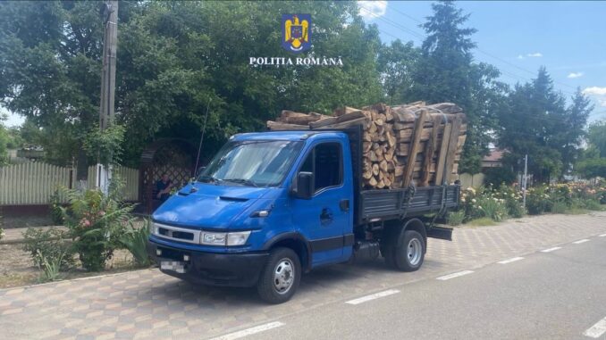 Material lemnos cu nereguli. FOTO Poliția Română