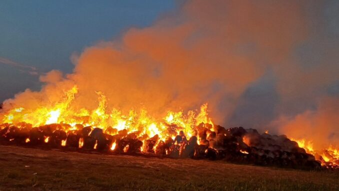 Intervenție a pompierilor. FOTO ISU Ialomița