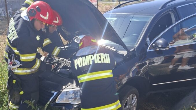 Intervenție a pompierilor. FOTO ISU Ialomița